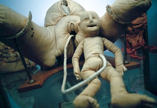 Photographie du mannequin d'Angélique du Coudray, représentant les membres inférieurs féminins et un nouveau né rattaché par un cordon ombilical