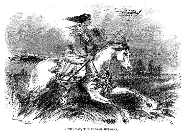 Pine Leaf ou Woman Chief Pine Leaf ou Woman Chief