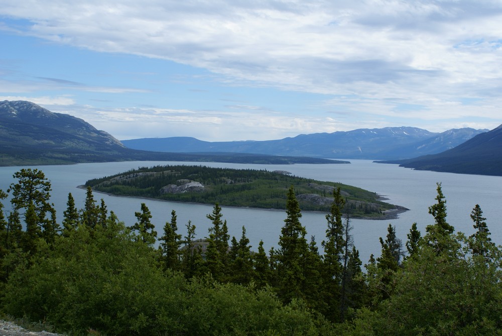 Cette photo montre l'île de Bove sur le lac Tagish, dans le Yukon au Canada. On voit une rangée d'arbres au premier plan, devant le lac et l'île au milieu. Des montagnes se dessinent à l'arrière-plan. Le ciel est nuageux.